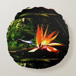 Kleurrijke vogel van de Paradijsbloem Rond Kussen