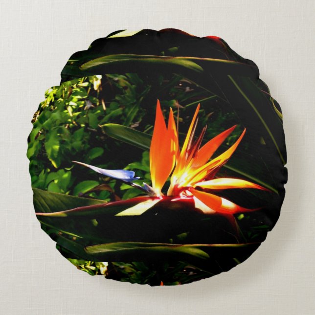 Kleurrijke vogel van de Paradijsbloem Rond Kussen (Voorkant)