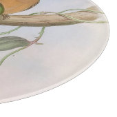 Kleurrijke vogelillustratie snijvlak snijplank (Hoek)