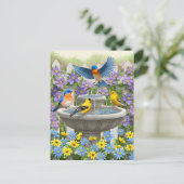 Kleurrijke vogels en vogelpest briefkaart (Staand voorkant)