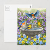 Kleurrijke vogels en vogelpest briefkaart (Voorkant / Achterkant)