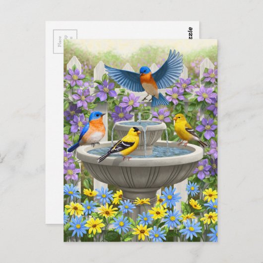 Kleurrijke vogels en vogelpest briefkaart (Voorkant / Achterkant)