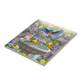 Kleurrijke vogels en vogelpest tegeltje (Zijkant)