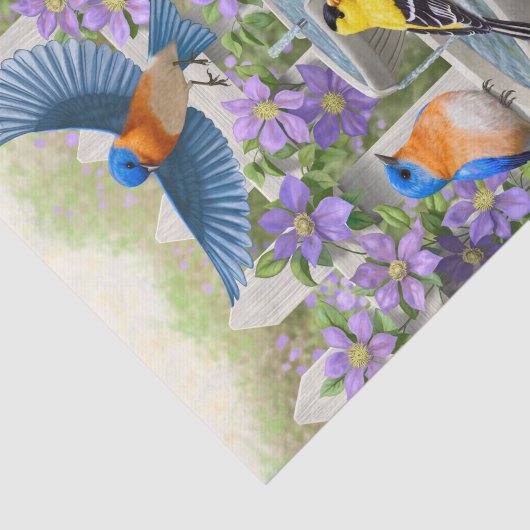 Kleurrijke vogels en vogelpest tissuepapier (Detail)