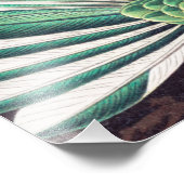 Kleurrijke  vogels foto afdruk (Hoek)