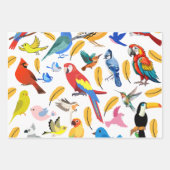 Kleurrijke vogels inpakpapier vel (Voorkant)