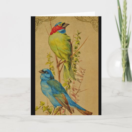 Kleurrijke vogels kaart (Voorkant)