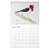 Kleurrijke Vogels Kalender 2026 (Jan 2027)