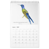 Kleurrijke Vogels Kalender 2026 (Mar 2027)