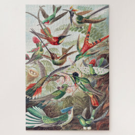 Kleurrijke  vogels legpuzzel