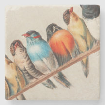 Kleurrijke vogels op 2 Perch