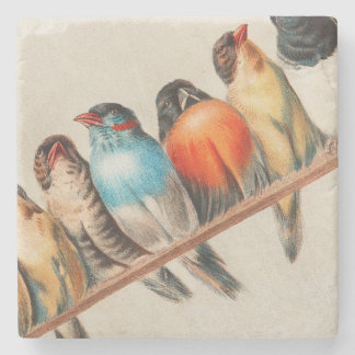 Kleurrijke vogels op 2 Perch Stenen Onderzetter