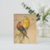 kleurrijke  vogels op  langger papier briefkaart (Staand voorkant)
