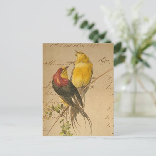 kleurrijke vogels op langger papier briefkaart (Staand voorkant)