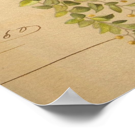 kleurrijke  vogels op  langger papier poster (Hoek)