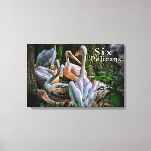 Kleurrijke vogels Zes pelikanen onder een boom Canvas Afdruk
