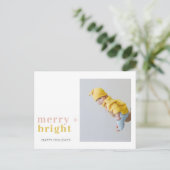 Kleurrijke vrolijke + heldere foto PRETTIGE FEESTD Briefkaart (Staand voorkant)