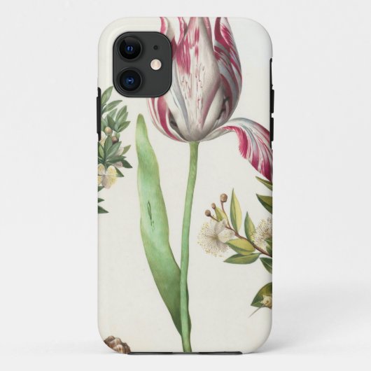 Kleurrijke vruchten Case-Mate iPhone case (Achterkant)