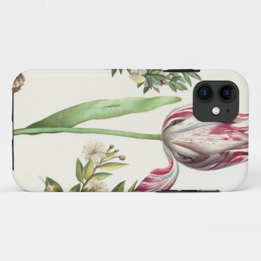 Kleurrijke vruchten Case-Mate iPhone case (Achterkant (horizontaal))