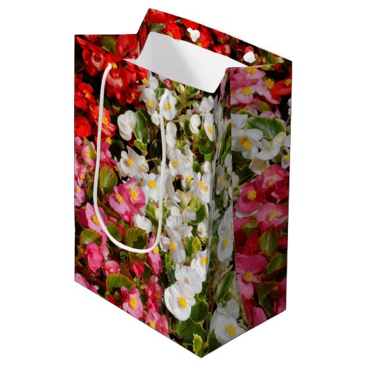Kleurrijke wasbegonia's medium cadeauzakje (Voorkant Gekanteld)