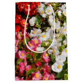 Kleurrijke wasbegonia's medium cadeauzakje (Voorkant)