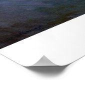 Kleurrijke watergalgen in vijver van Claude Monet Poster (Hoek)