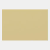 Kleurrijke Waterverf Holly en Quatrefoil Inpakpapier Vel (Voorkant 2)