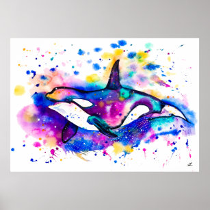 Kleurrijke Waterverf Orca Poster