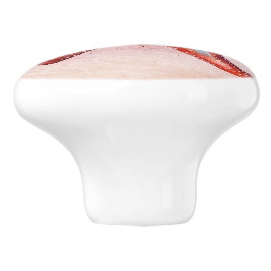 Kleurrijke waterverf schilderij zeester rood blauw keramische knop (Zijkant)