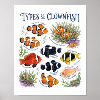 Kleurrijke Waterverf Tropische Rif Vissen Kunst Poster
