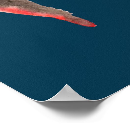 Kleurrijke waterverf vlinders poster (Hoek)