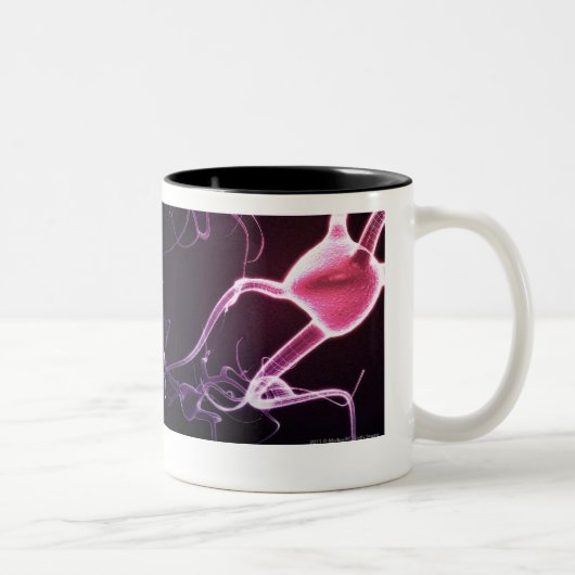 Kleurrijke weergave van neuronen tweekleurige koffiemok (Rechts)