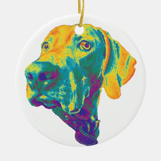 Kleurrijke weimaraner-versiering keramisch ornament (Voorkant)