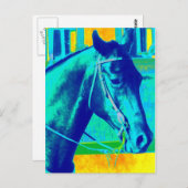 Kleurrijke Westerne paarden Briefkaart (Voorkant / Achterkant)