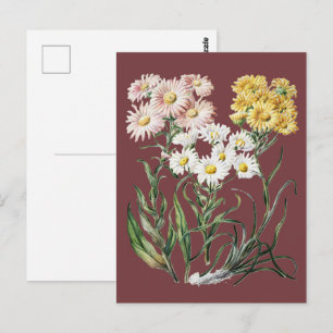 Kleurrijke Wilde Bloem Botanische Bloemenkunst uit Briefkaart