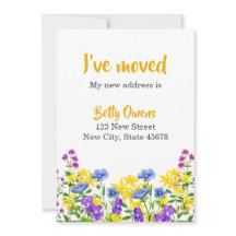 Kleurrijke Wilde Bloemen Die Ik Heb Verhuisd