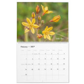 Kleurrijke Wilde Bloemen Kalender (Feb 2027)