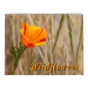 Kleurrijke Wilde Bloemen Kalender