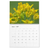 Kleurrijke Wilde Bloemen Kalender (Mar 2027)
