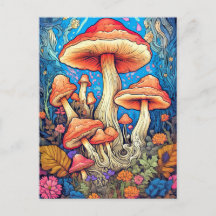 Kleurrijke Wilde Psychedelische Paddenstoelen Illu
