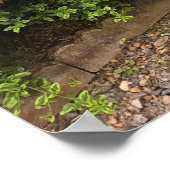 Kleurrijke Windows- en Bench Garden Decor Poster (Hoek)