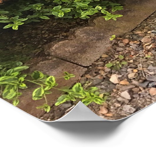 Kleurrijke Windows- en Bench Garden Decor Poster (Hoek)