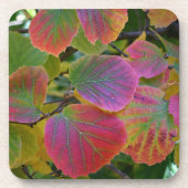Kleurrijke Witch-Alder bladeren botanisch Bier Onderzetter (Voorkant)