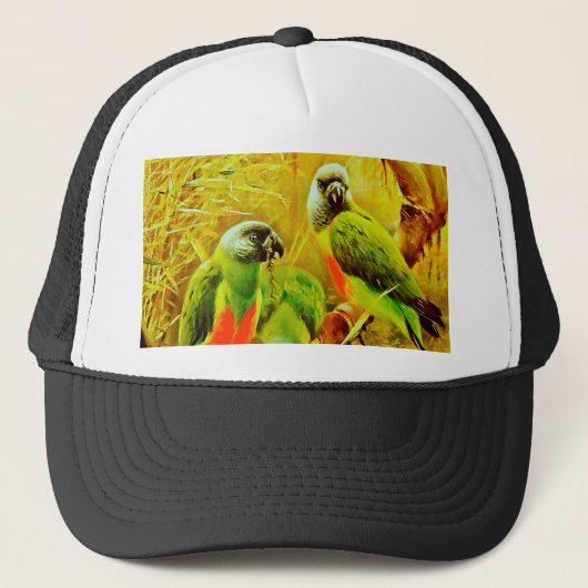 Kleurrijke wortelen trucker pet (Voorkant)