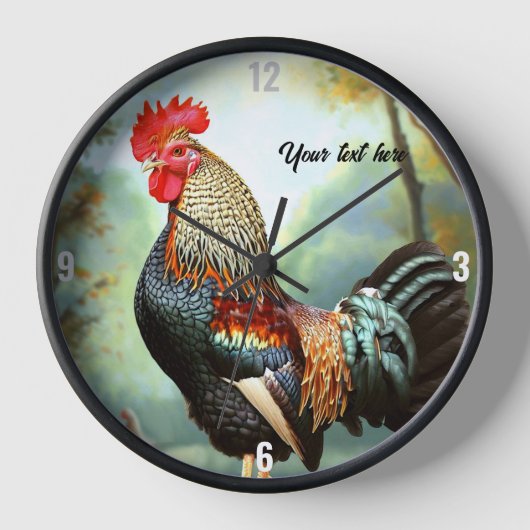 Kleurrijke Wyandotte Rooster (Voorkant)