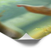 Kleurrijke Wyandotte Rooster Perfect Poster (Hoek)