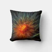 Kleurrijke zachte koraal, Marine Flowers