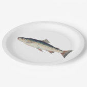 Kleurrijke  zalmillustratie papieren bordje (Gekanteld)