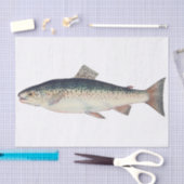 Kleurrijke zalmillustratie tissuepapier (Craft)