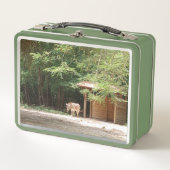 Kleurrijke, Zebra & Bloemen, Metalen Lunch Box (Voorkant)